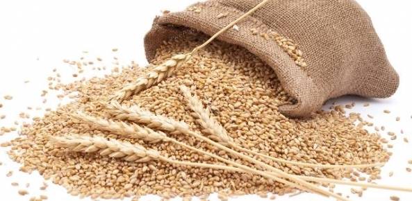 Leilões de trigo deslancham com novo valor de partida