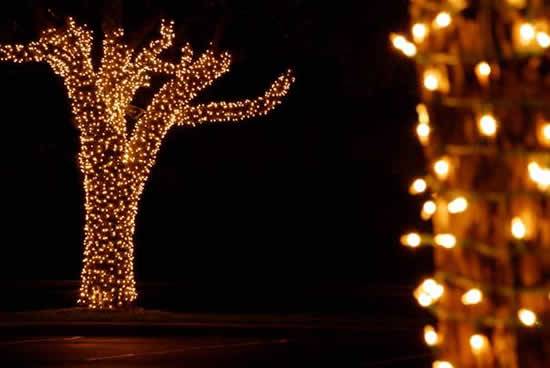 Natal Encantador vai dar R$ 5 mil em prêmios para casas decoradas