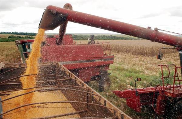 Governo prevê crescimento de 30% na safra de grãos em 10 anos