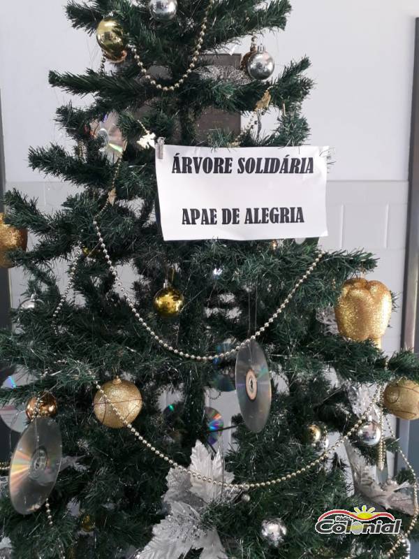 Árvore Solidária - Colonial FM em benefício da APAE de Alegria