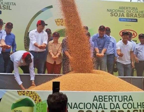 Aberta oficialmente a colheita da soja no Brasil