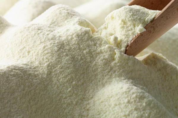 Produtores pedem revisão do fim de taxas sobre importação de leite 