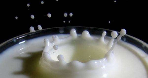 Cadeia produtiva leiteira pede prazo para instruções normativas 76 e 77