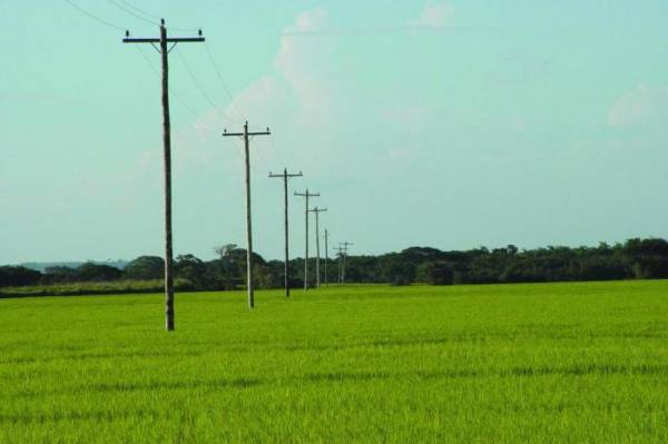 Produtor rural terá subsídio à energia regulado