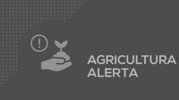 Secretaria Estadual da Agricultura alerta para ação de golpistas