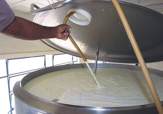 Preço do leite ao produtor deve ter recorde em agosto no Brasil todo, segundo o Cepea