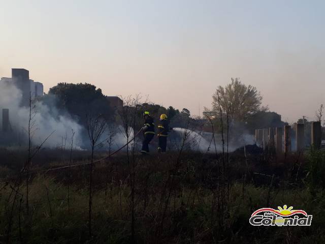 Bombeiros combatem incêndio em vegetação no bairro Oriental