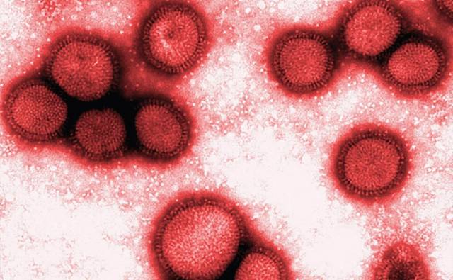 Confirmado primeiro caso de dupla infecção por Covid-19 e Influenza em Santa Rosa