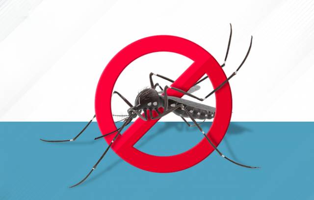 Casos de dengue em Três de Maio e infestação de mosquito acendem alerta em Três de Maio
