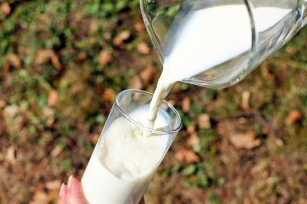 Divulgado valor de referência do leite a ser pago ao produtor em julho
