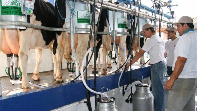 Entidades consideram insuficientes medidas do governo para socorrer o setor lácteo