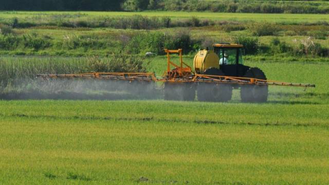 Exigências para uso correto de herbicidas hormonais são resumidas em publicação