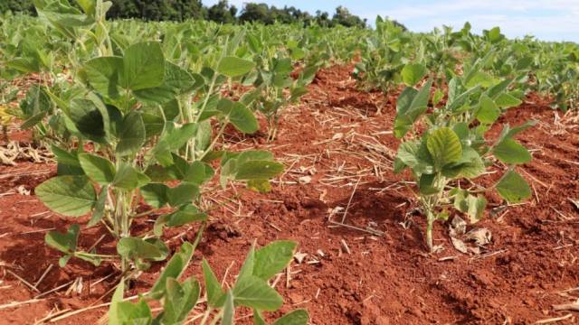 Três de Maio decreta situação de emergência